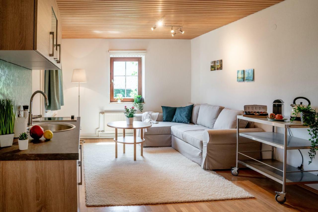 Lakeview Apartment Hallstatt Buitenkant foto